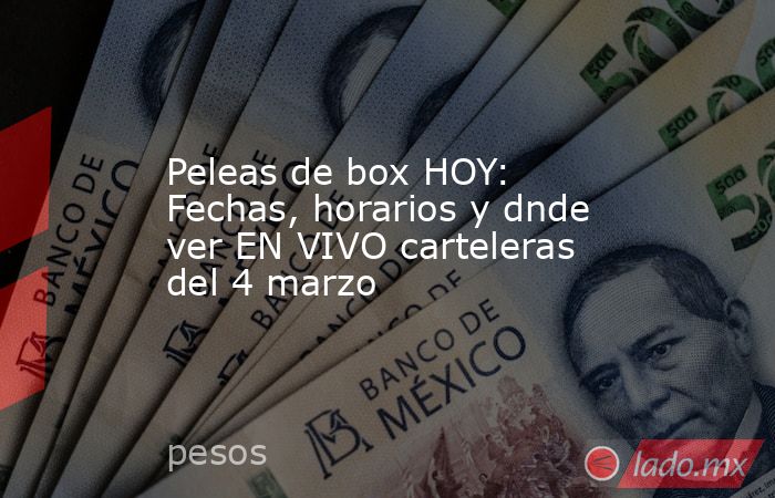 Peleas de box HOY: Fechas, horarios y dnde ver EN VIVO carteleras del 4 marzo. Noticias en tiempo real