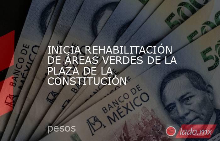 INICIA REHABILITACIÓN DE ÁREAS VERDES DE LA PLAZA DE LA CONSTITUCIÓN. Noticias en tiempo real