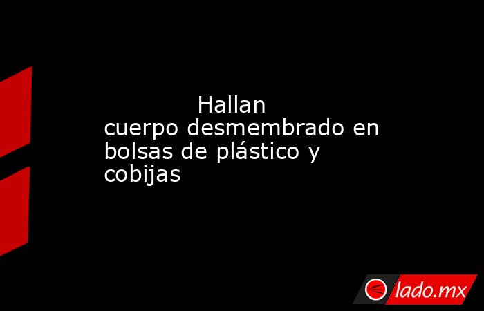             Hallan cuerpo desmembrado en bolsas de plástico y cobijas            . Noticias en tiempo real