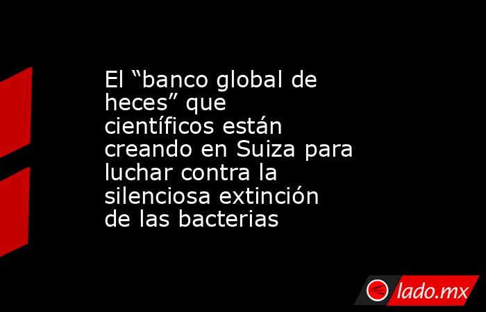 El “banco global de heces” que científicos están creando en Suiza para luchar contra la silenciosa extinción de las bacterias. Noticias en tiempo real