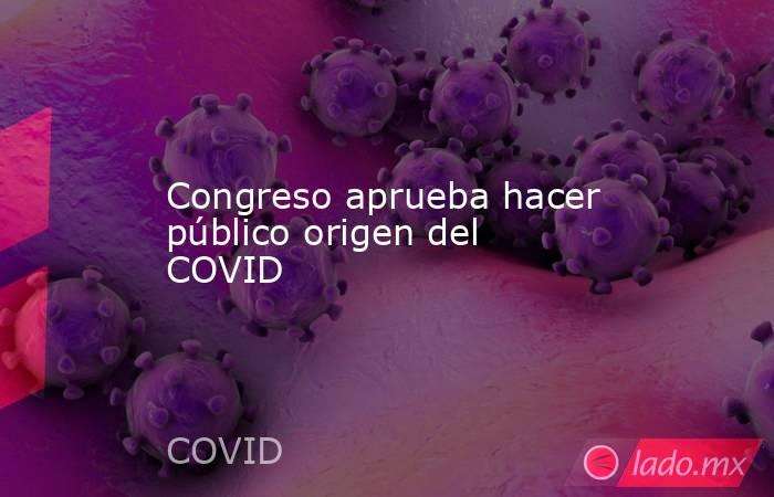 Congreso aprueba hacer público origen del COVID. Noticias en tiempo real