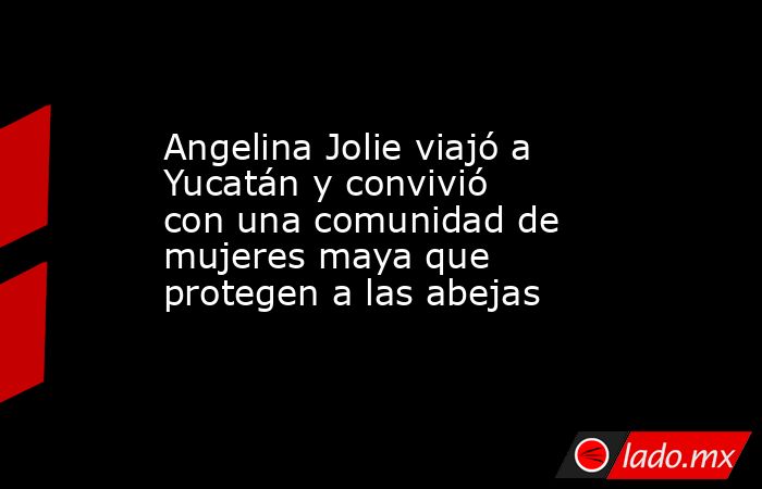 Angelina Jolie viajó a Yucatán y convivió con una comunidad de mujeres maya que protegen a las abejas. Noticias en tiempo real