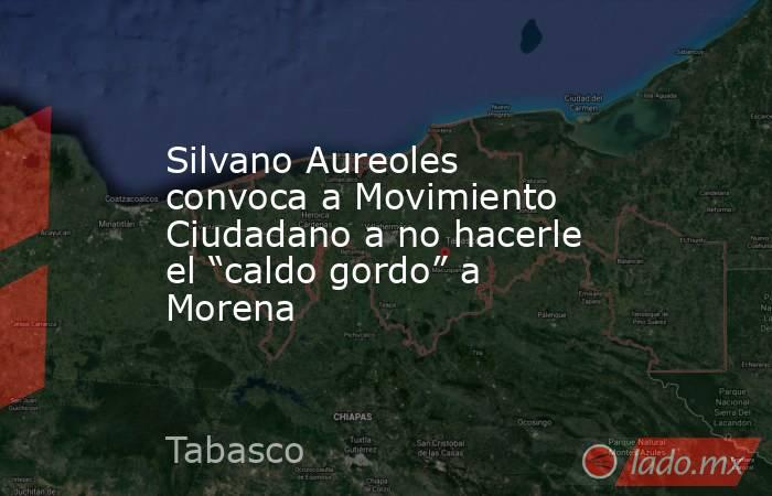 Silvano Aureoles convoca a Movimiento Ciudadano a no hacerle el “caldo gordo” a Morena. Noticias en tiempo real