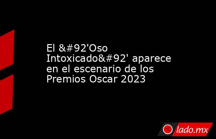 El \'Oso Intoxicado\' aparece en el escenario de los Premios Oscar 2023. Noticias en tiempo real