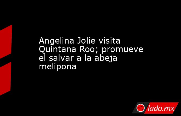 Angelina Jolie visita Quintana Roo; promueve el salvar a la abeja melipona. Noticias en tiempo real