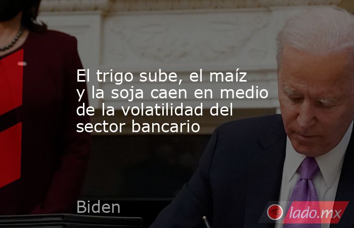 El trigo sube, el maíz y la soja caen en medio de la volatilidad del sector bancario. Noticias en tiempo real