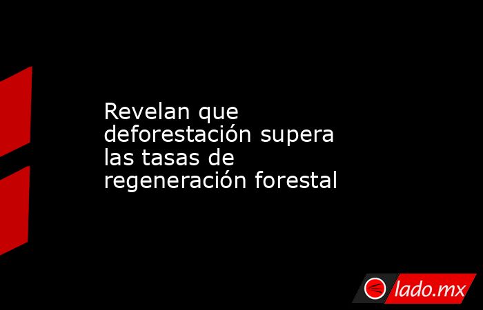 Revelan que deforestación supera las tasas de regeneración forestal. Noticias en tiempo real