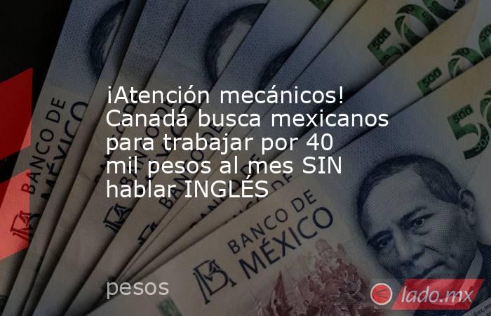 ¡Atención mecánicos! Canadá busca mexicanos para trabajar por 40 mil pesos al mes SIN hablar INGLÉS. Noticias en tiempo real