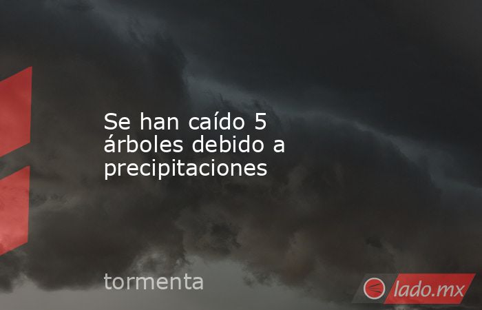 Se han caído 5 árboles debido a precipitaciones. Noticias en tiempo real