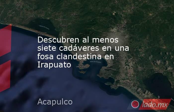 Descubren al menos siete cadáveres en una fosa clandestina en Irapuato. Noticias en tiempo real