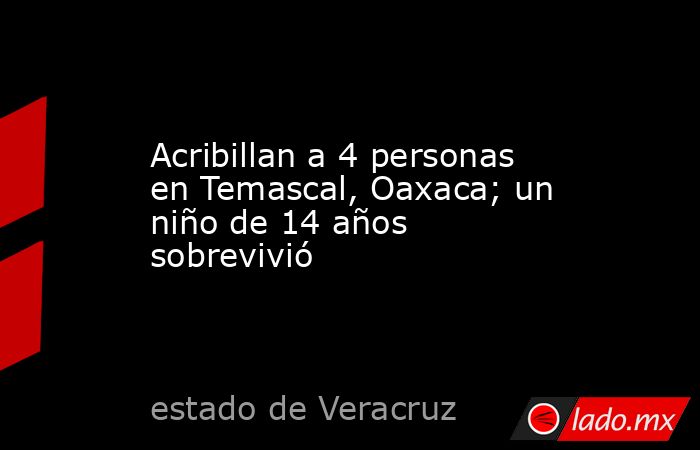 Acribillan a 4 personas en Temascal, Oaxaca; un niño de 14 años sobrevivió. Noticias en tiempo real