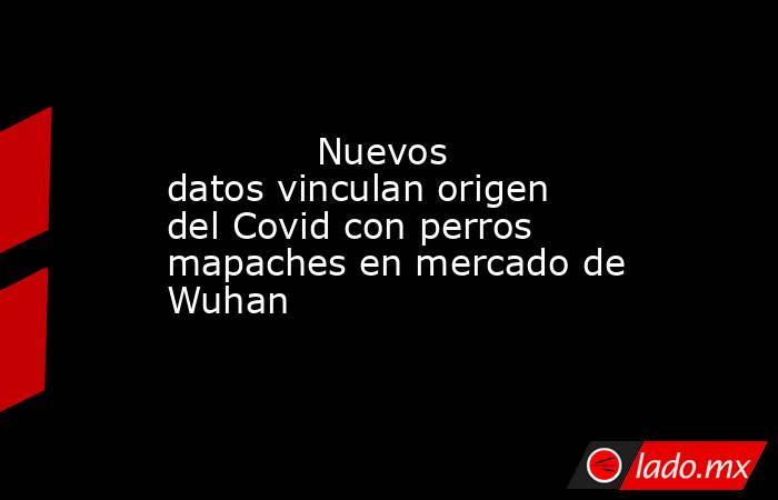             Nuevos datos vinculan origen del Covid con perros mapaches en mercado de Wuhan            . Noticias en tiempo real