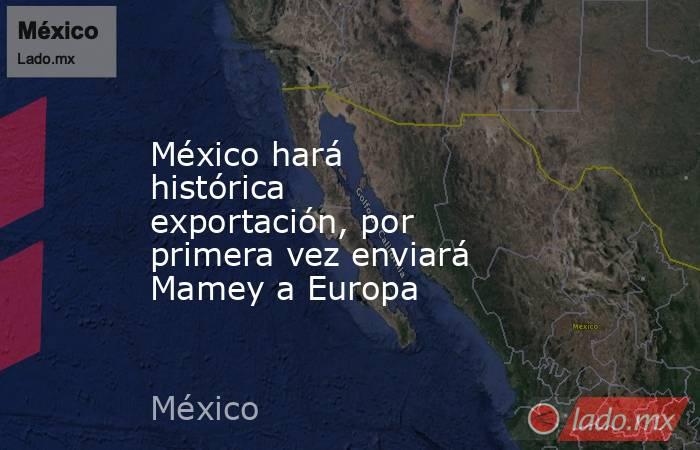 México hará histórica exportación, por primera vez enviará Mamey a Europa. Noticias en tiempo real