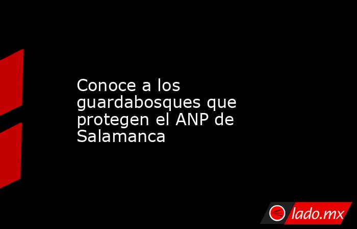 Conoce a los guardabosques que protegen el ANP de Salamanca . Noticias en tiempo real