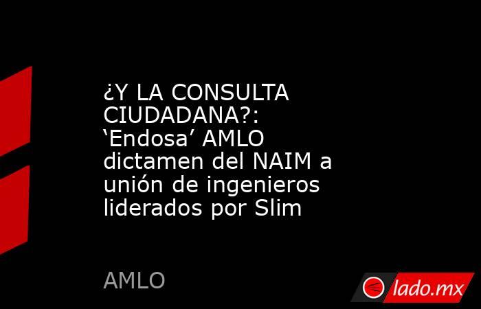 ¿Y LA CONSULTA CIUDADANA?: ‘Endosa’ AMLO dictamen del NAIM a unión de ingenieros liderados por Slim. Noticias en tiempo real