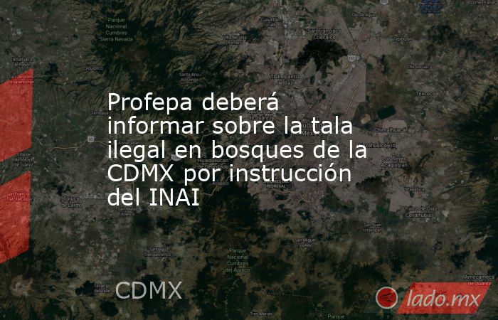 Profepa deberá informar sobre la tala ilegal en bosques de la CDMX por instrucción del INAI. Noticias en tiempo real