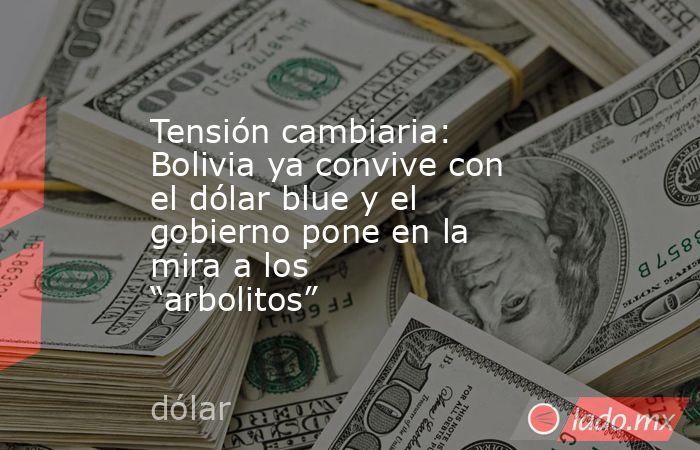 Tensión cambiaria: Bolivia ya convive con el dólar blue y el gobierno pone en la mira a los “arbolitos”. Noticias en tiempo real