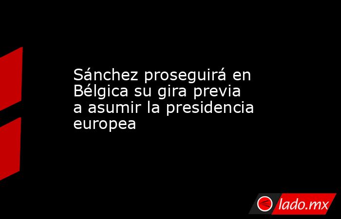 Sánchez proseguirá en Bélgica su gira previa a asumir la presidencia europea. Noticias en tiempo real