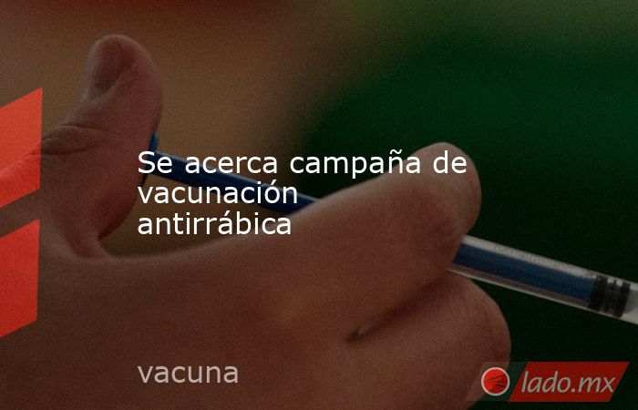 Se acerca campaña de vacunación antirrábica. Noticias en tiempo real