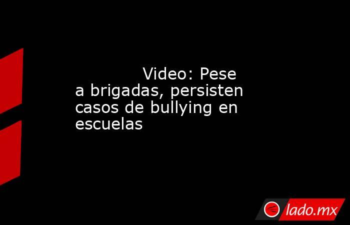             Video: Pese a brigadas, persisten casos de bullying en escuelas            . Noticias en tiempo real