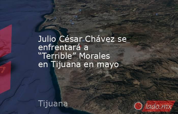 Julio César Chávez se enfrentará a “Terrible” Morales en Tijuana en mayo. Noticias en tiempo real