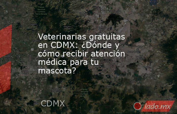 Veterinarias gratuitas en CDMX: ¿Dónde y cómo recibir atención médica para tu mascota?. Noticias en tiempo real