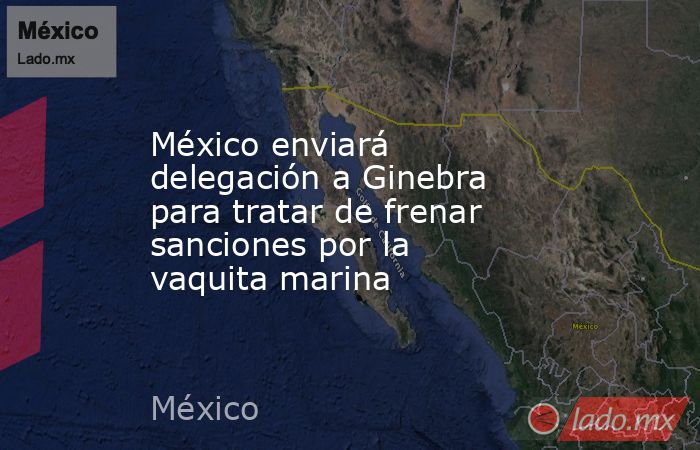 México enviará delegación a Ginebra para tratar de frenar sanciones por la vaquita marina. Noticias en tiempo real