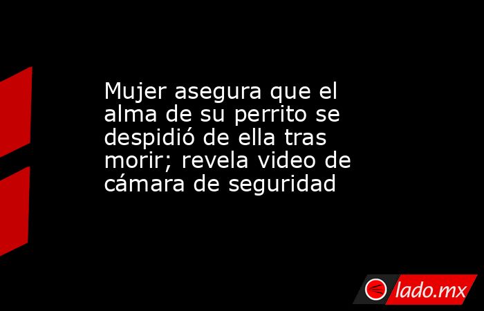 Mujer asegura que el alma de su perrito se despidió de ella tras morir; revela video de cámara de seguridad. Noticias en tiempo real