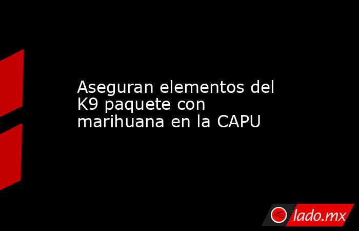 Aseguran elementos del K9 paquete con marihuana en la CAPU. Noticias en tiempo real