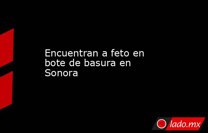 Encuentran a feto en bote de basura en Sonora. Noticias en tiempo real