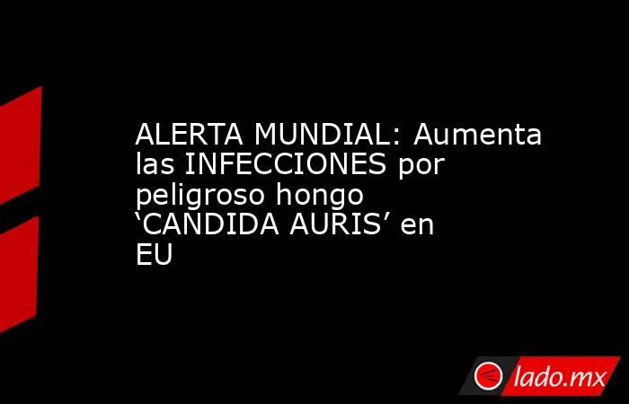 ALERTA MUNDIAL: Aumenta las INFECCIONES por peligroso hongo ‘CANDIDA AURIS’ en EU. Noticias en tiempo real