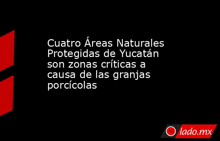 Cuatro Áreas Naturales Protegidas de Yucatán son zonas críticas a causa de las granjas porcícolas. Noticias en tiempo real