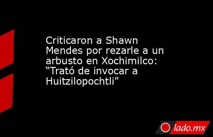 Criticaron a Shawn Mendes por rezarle a un arbusto en Xochimilco: “Trató de invocar a Huitzilopochtli”. Noticias en tiempo real