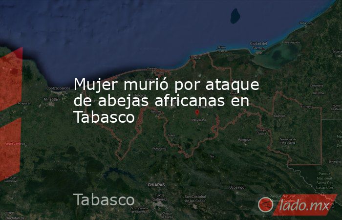 Mujer murió por ataque de abejas africanas en Tabasco. Noticias en tiempo real