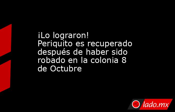 ¡Lo lograron! Periquito es recuperado después de haber sido robado en la colonia 8 de Octubre. Noticias en tiempo real