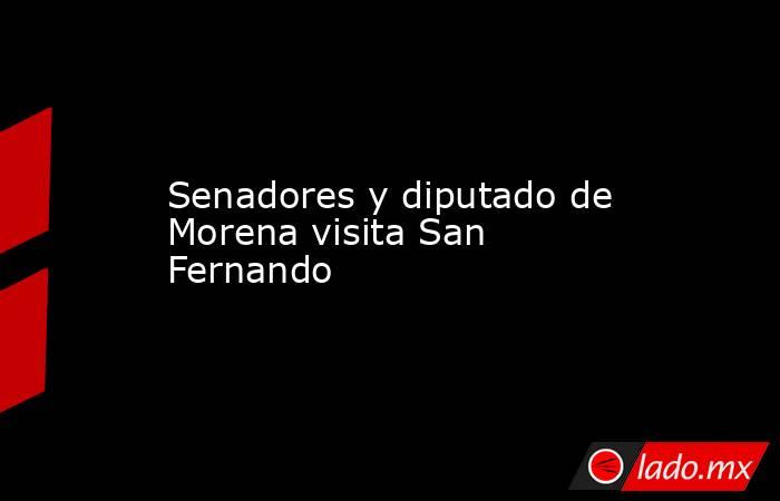 Senadores y diputado de Morena visita San Fernando. Noticias en tiempo real