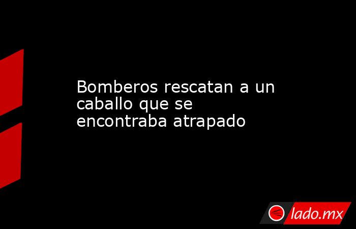 Bomberos rescatan a un caballo que se encontraba atrapado. Noticias en tiempo real