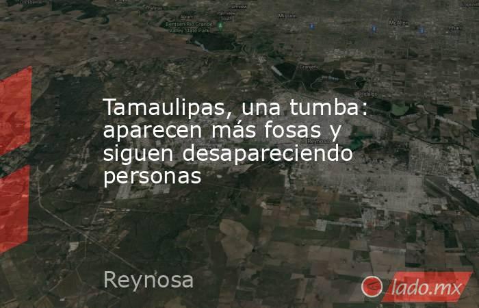 Tamaulipas, una tumba: aparecen más fosas y siguen desapareciendo personas. Noticias en tiempo real