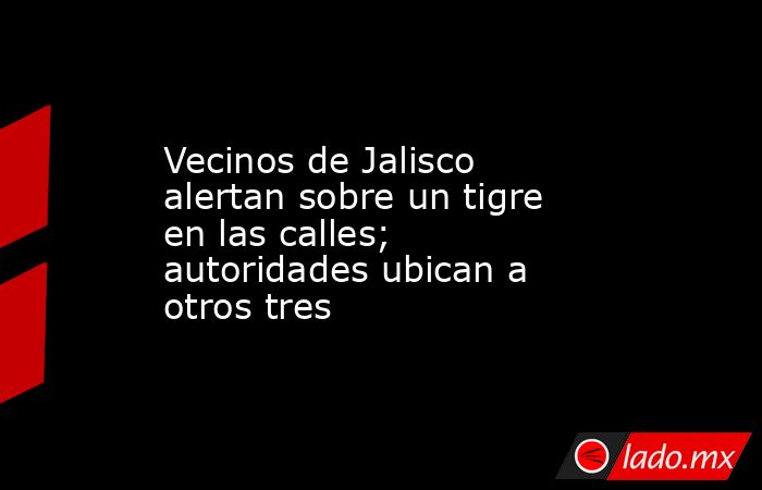 Vecinos de Jalisco alertan sobre un tigre en las calles; autoridades ubican a otros tres. Noticias en tiempo real