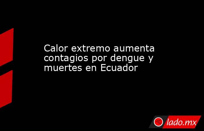 Calor extremo aumenta contagios por dengue y muertes en Ecuador. Noticias en tiempo real