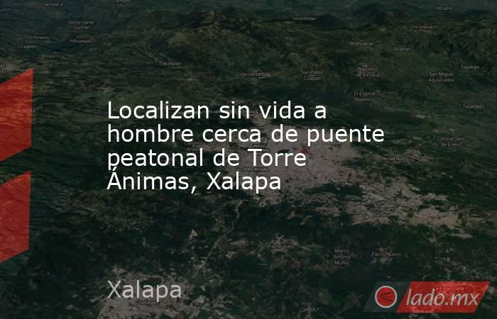 Localizan sin vida a hombre cerca de puente peatonal de Torre Ánimas, Xalapa. Noticias en tiempo real