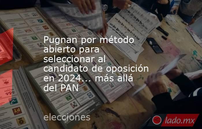 Pugnan por método abierto para seleccionar al candidato de oposición en 2024... más allá del PAN. Noticias en tiempo real