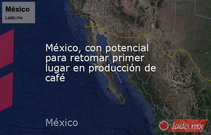 México, con potencial para retomar primer lugar en producción de café. Noticias en tiempo real