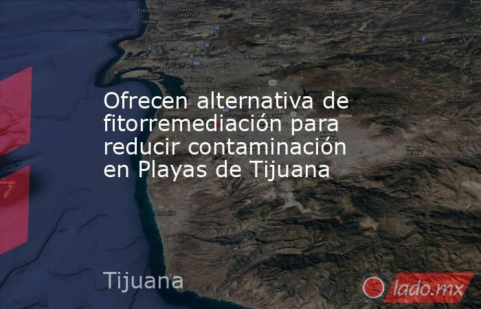 Ofrecen alternativa de fitorremediación para reducir contaminación en Playas de Tijuana. Noticias en tiempo real