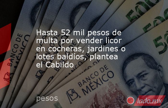 Hasta 52 mil pesos de multa por vender licor en cocheras, jardines o lotes baldíos, plantea el Cabildo. Noticias en tiempo real
