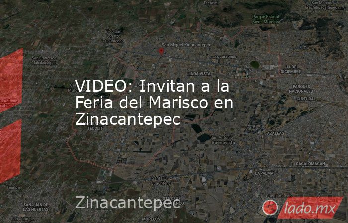 VIDEO: Invitan a la Feria del Marisco en Zinacantepec. Noticias en tiempo real