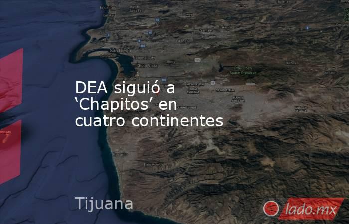 DEA siguió a ‘Chapitos’ en cuatro continentes. Noticias en tiempo real