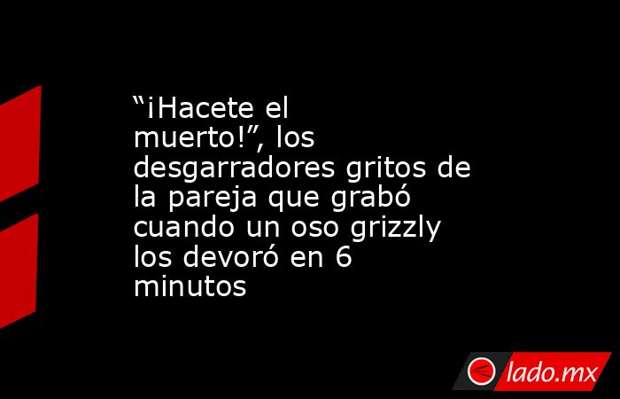 “¡Hacete el muerto!”, los desgarradores gritos de la pareja que grabó cuando un oso grizzly los devoró en 6 minutos. Noticias en tiempo real