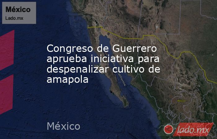 Congreso de Guerrero aprueba iniciativa para despenalizar cultivo de amapola. Noticias en tiempo real