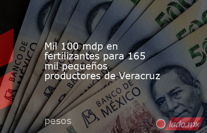 Mil 100 mdp en fertilizantes para 165 mil pequeños productores de Veracruz. Noticias en tiempo real